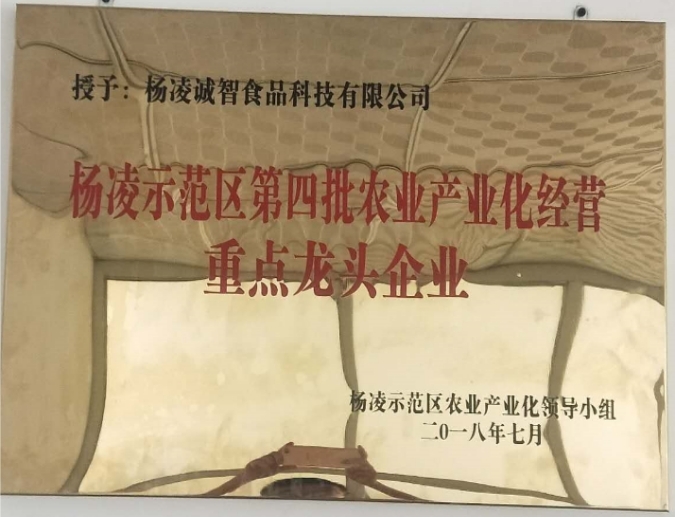 楊凌龍頭企業證書